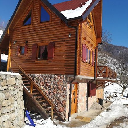 Vila Jelena Crni Vrh Экстерьер фото