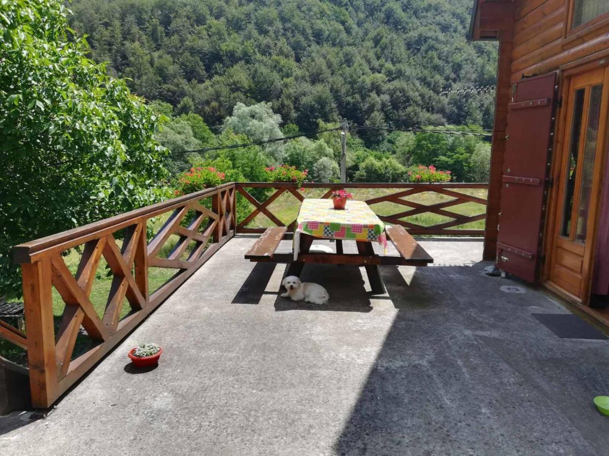 Vila Jelena Crni Vrh Экстерьер фото