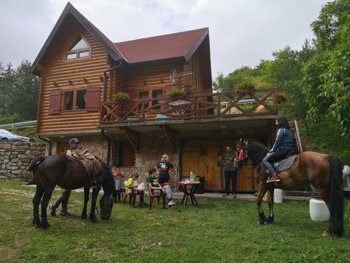 Vila Jelena Crni Vrh Экстерьер фото