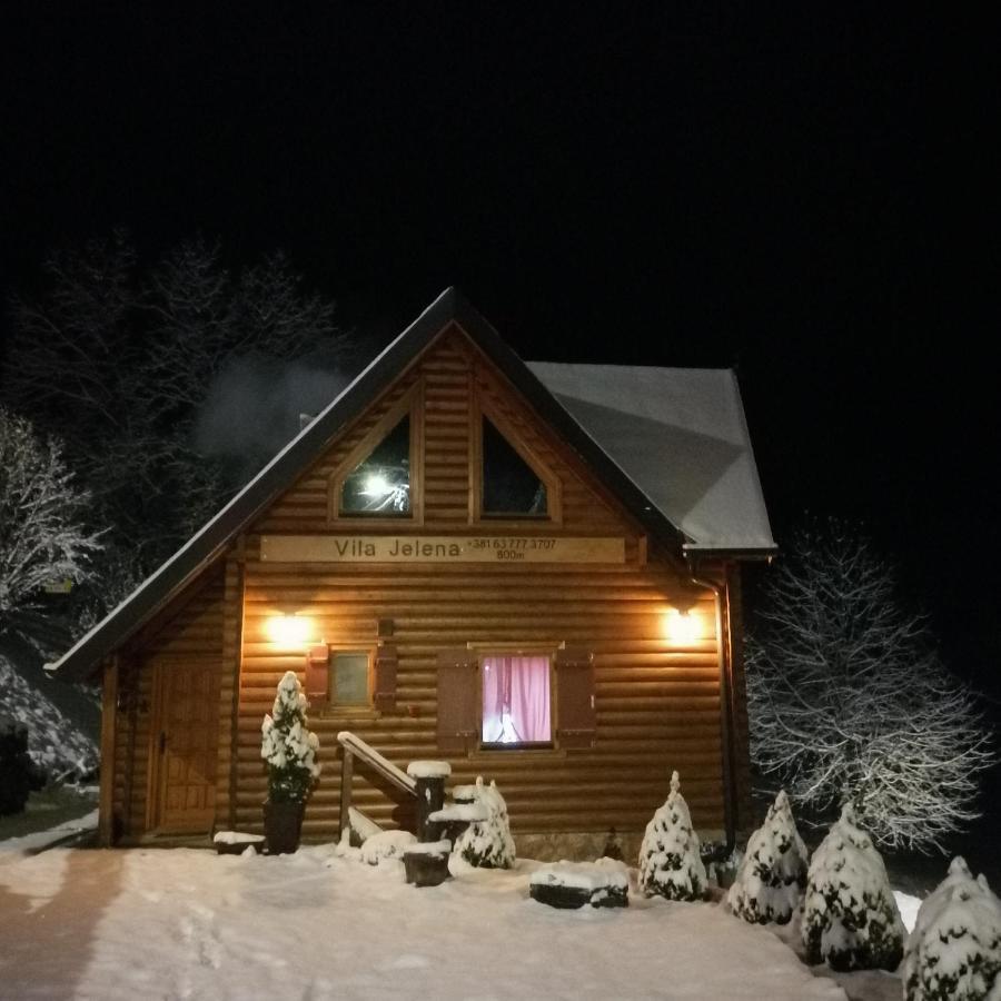 Vila Jelena Crni Vrh Экстерьер фото