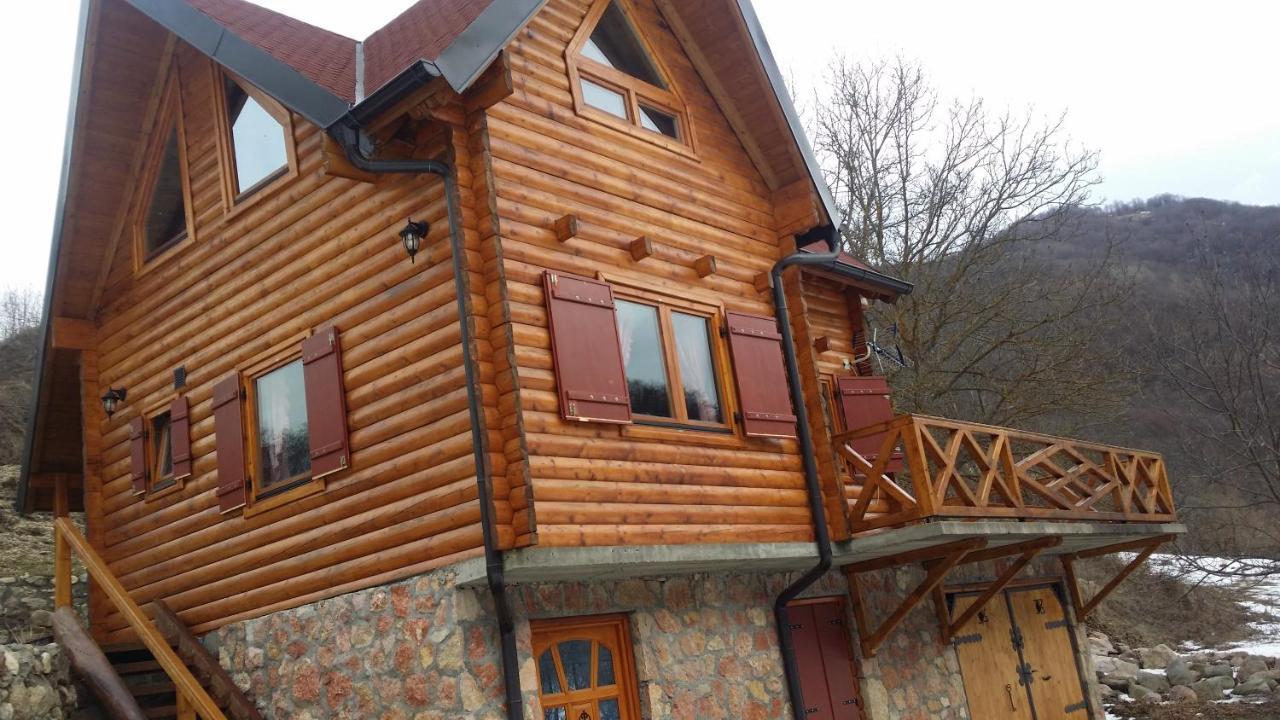 Vila Jelena Crni Vrh Экстерьер фото