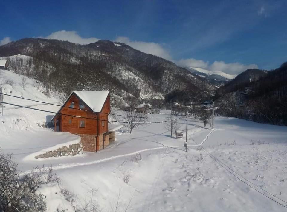 Vila Jelena Crni Vrh Экстерьер фото