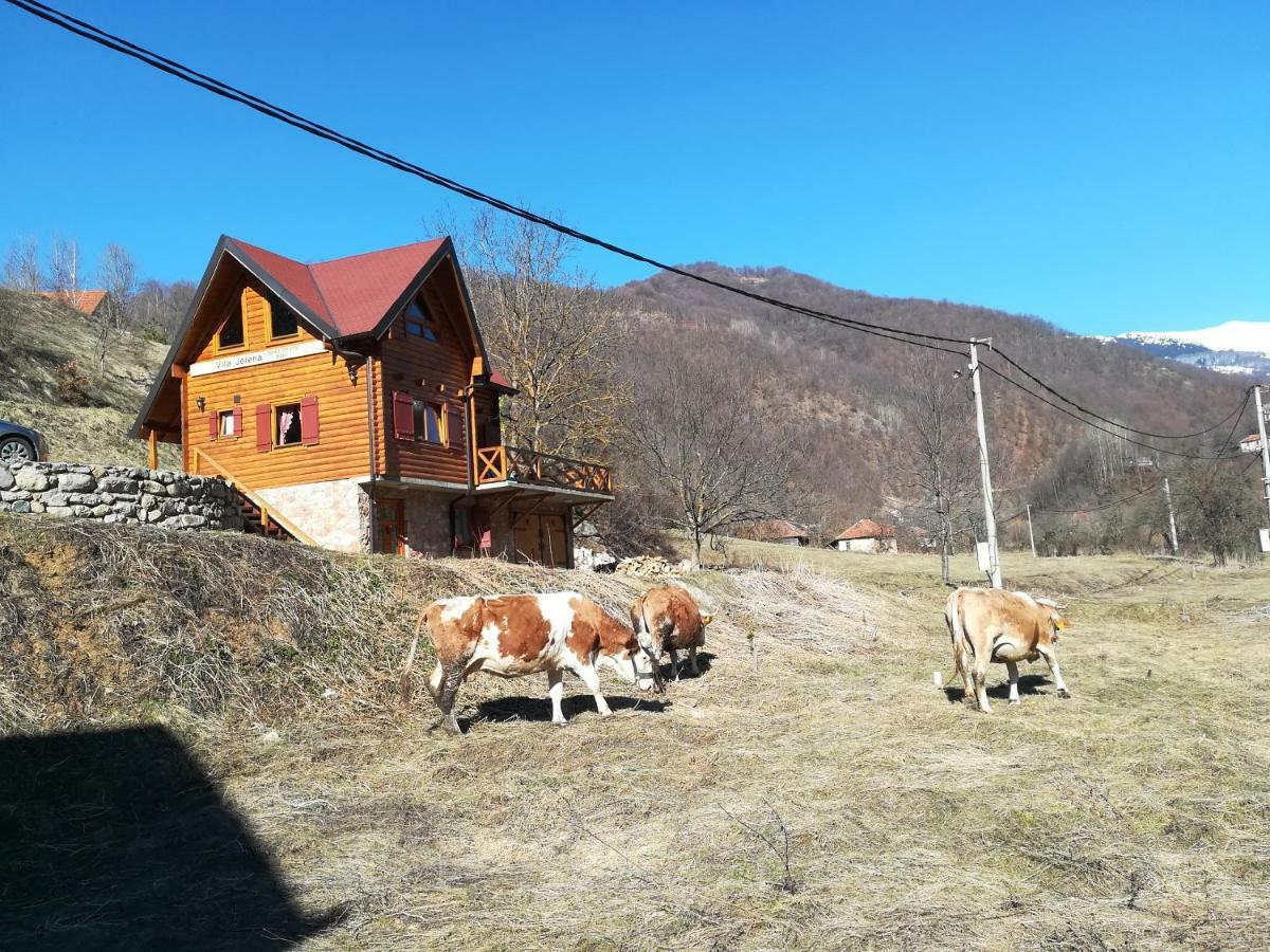 Vila Jelena Crni Vrh Экстерьер фото
